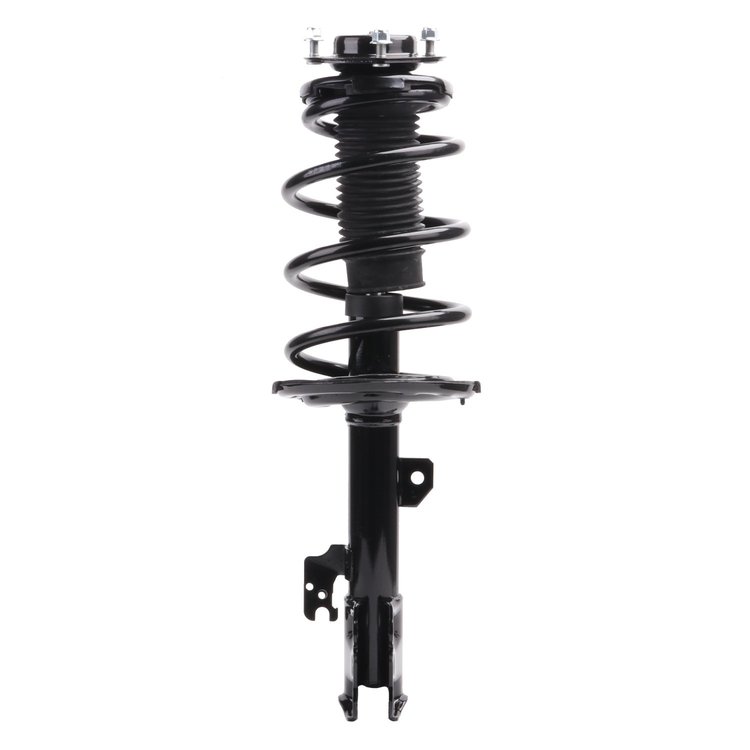 Strut Assembly