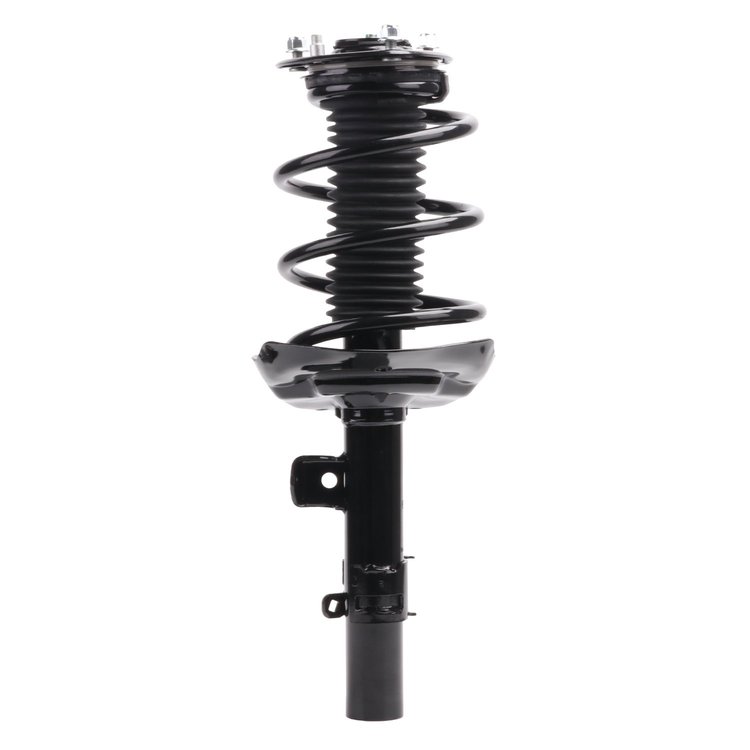 Strut Assembly