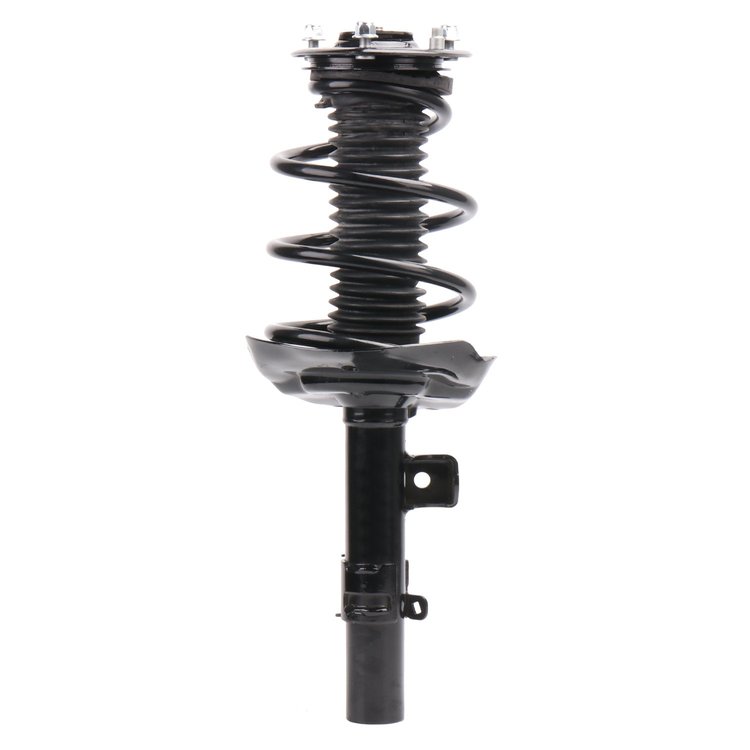 Strut Assembly