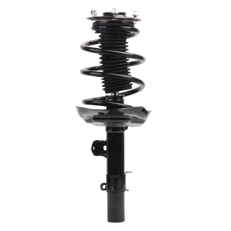 Strut Assembly