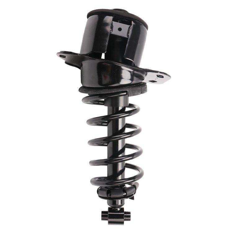 Strut Assembly
