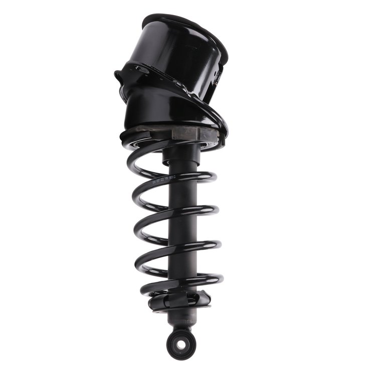 Strut Assembly