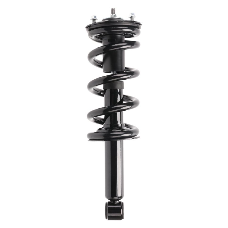 Strut Assembly