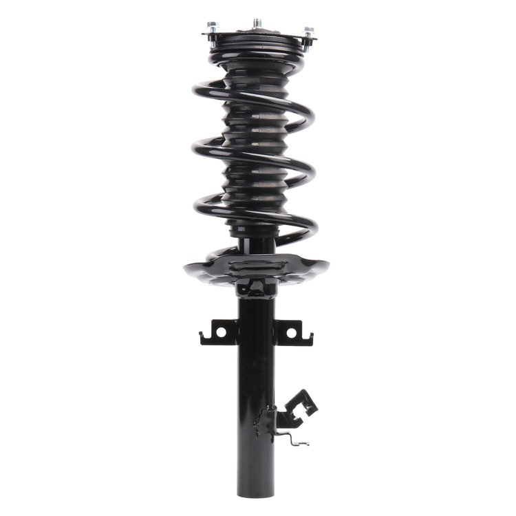 Strut Assembly