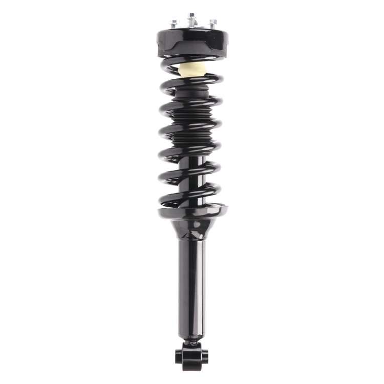 Strut Assembly