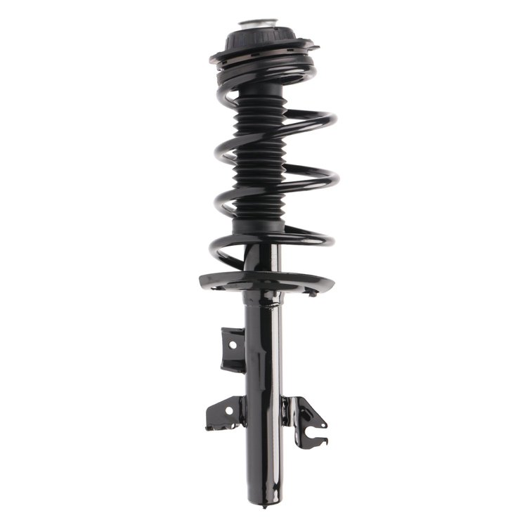 Strut Assembly