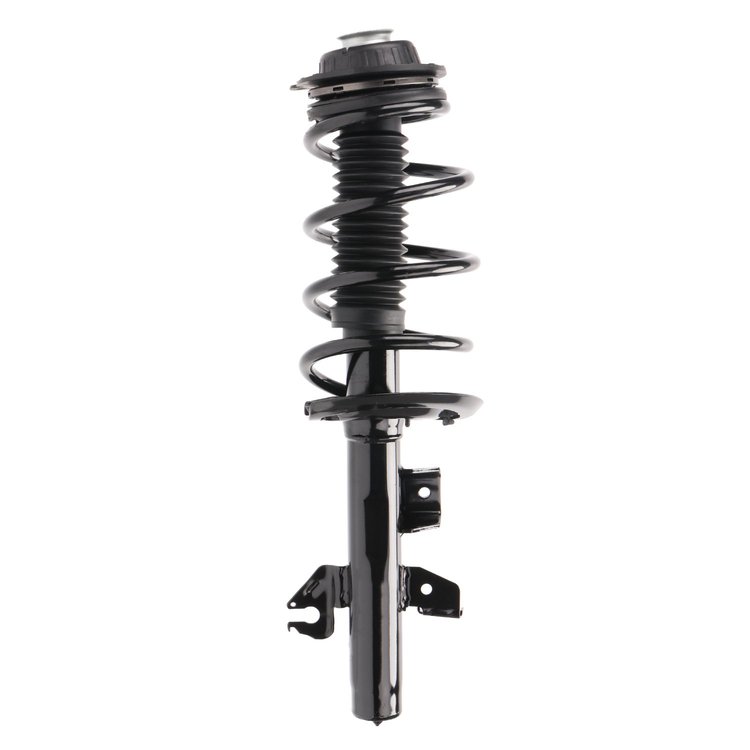 Strut Assembly