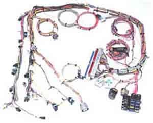 EFI Wiring Harness 2000-02 GM Vortec 4.8/5.3/6.0L