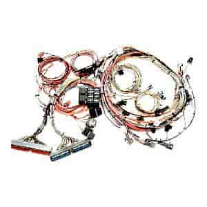 1998 LS1 Harness With 4 feet extra wiring