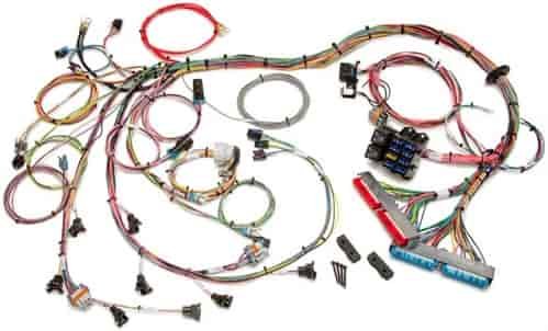 EFI Wiring Harness 1998-2004 GM LS1/LS6