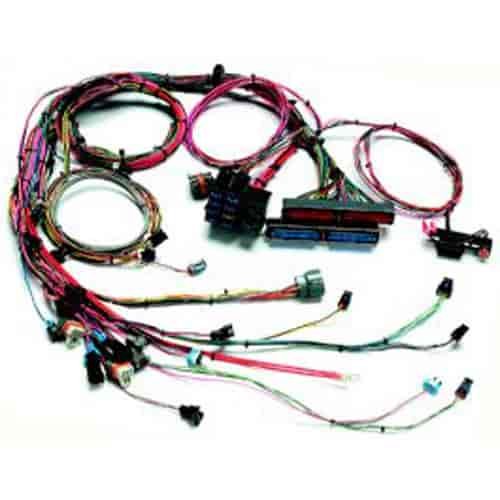 EFI Wiring Harness 2005-06 GM LS2