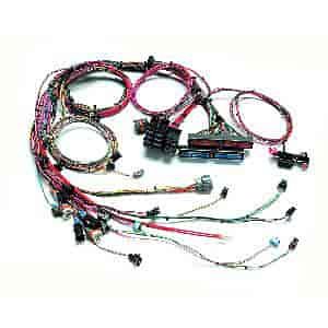 EFI Wiring Harness 2005-06 GM LS2