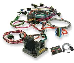 Perfect Engine Management System 1985-92 TPI