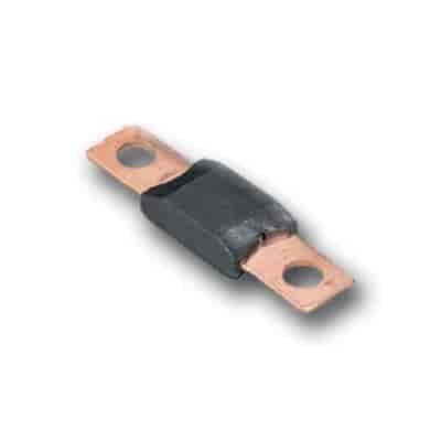 Magnum Fuse 100 amp