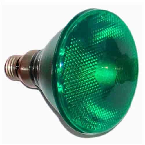 Green Flood Lamp