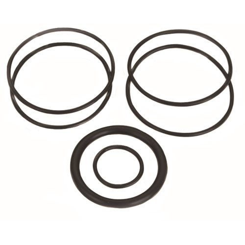 Fuel Filter O-Ring Set