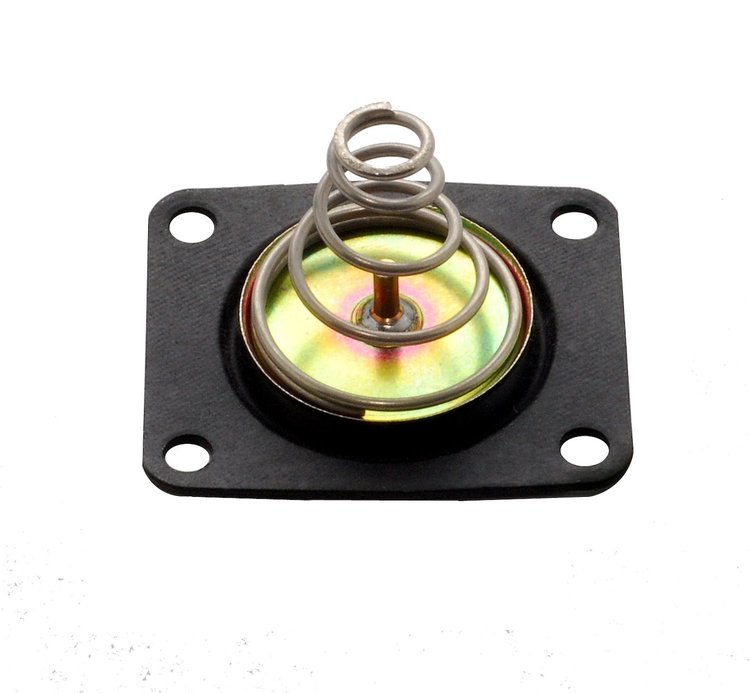 Pressure Regulator Diaphragm Kit Includes Spring