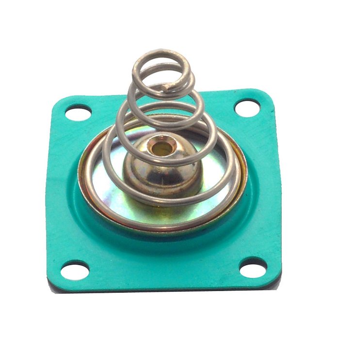 Bypass Pressure Regulator Diaphragm Kit GFLT Corrosion-Resistant Material