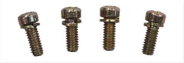 30cc Pump Cover Screws