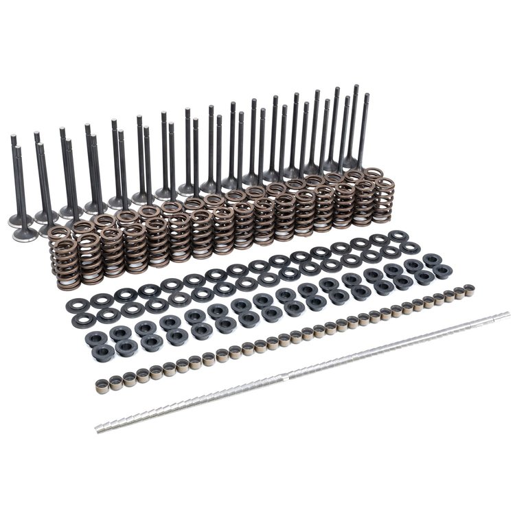 110090080 Valve and Valve Spring Kit Complete
