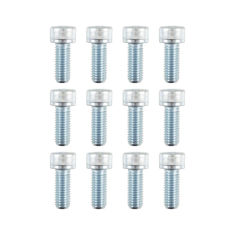 PTO COVER BOLT PACK (12)