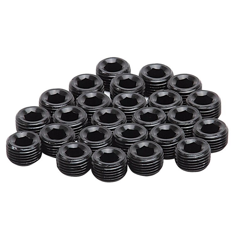 Pipe Plug 3/8" NPT (25)