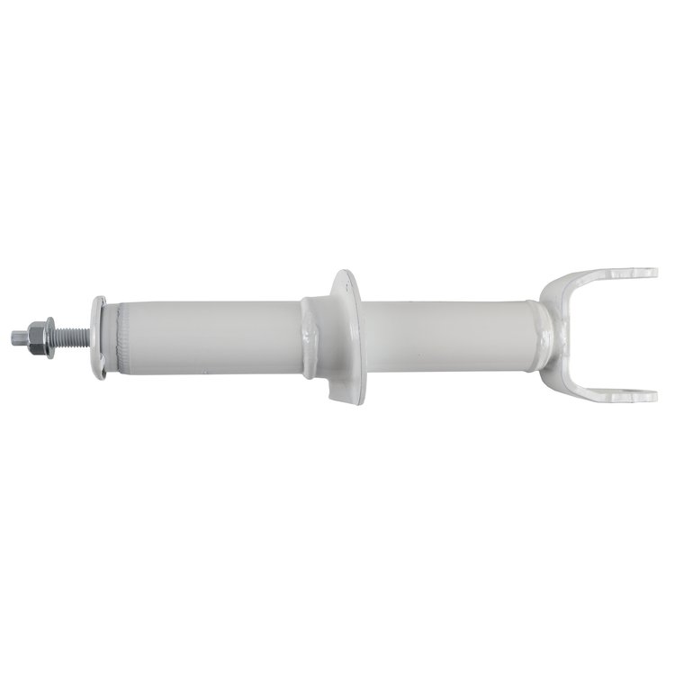 RS5000X Strut
