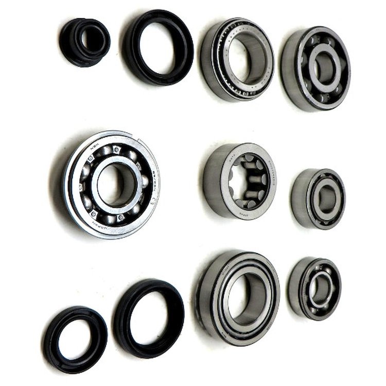 USA Standard M/T BRG & SEAL KIT
