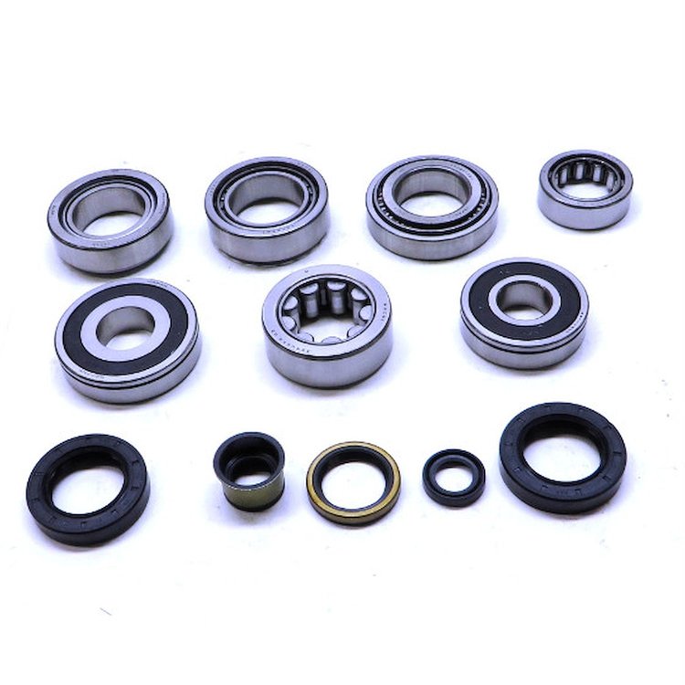 USA Standard M/T BRG & SEAL KIT