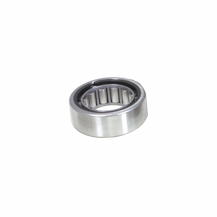 Pilot Bearing