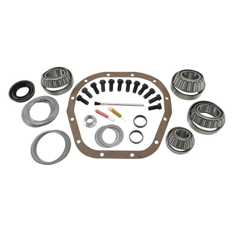Master Overhaul Kit Ford 10.25" Differential