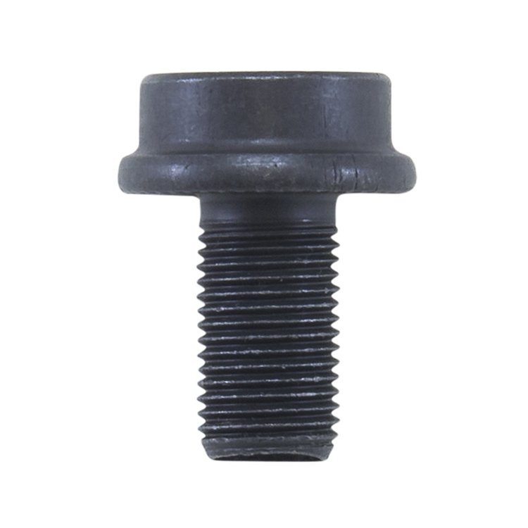 C198 Ring Gear Bolt.