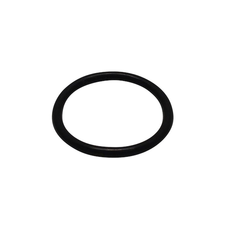 USA Standard ZTSEAAS192 Transfer Case Saginaw Reverse Shifter O-Ring Seal