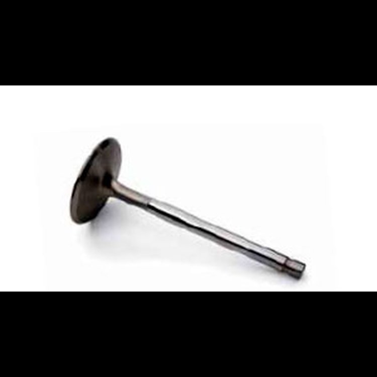 Intake Valve Big Block Chevy