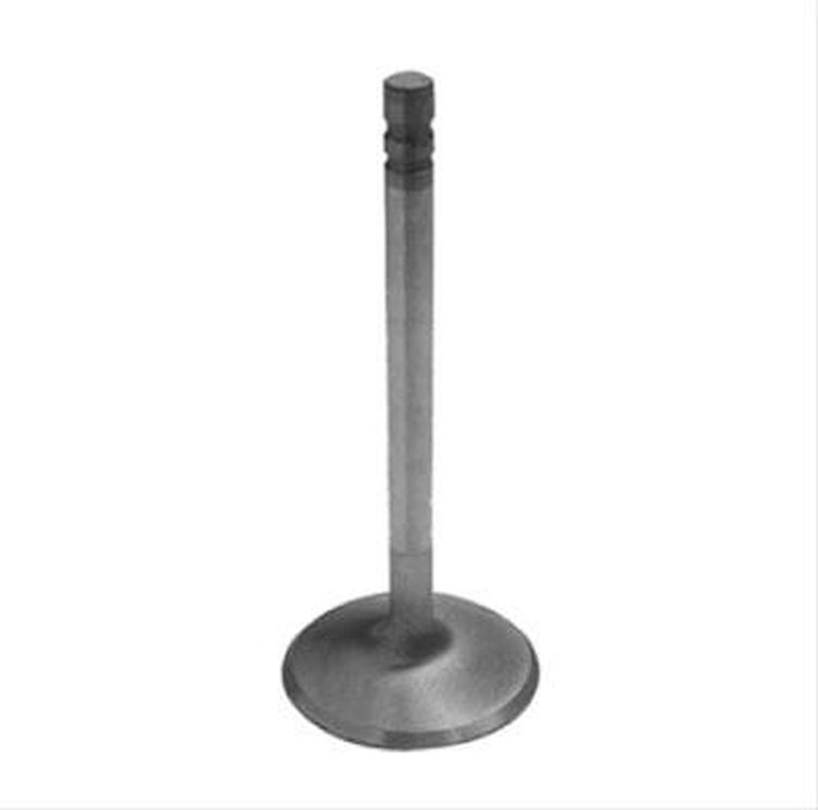 12555331 Intake Valves, Small-Block Engine