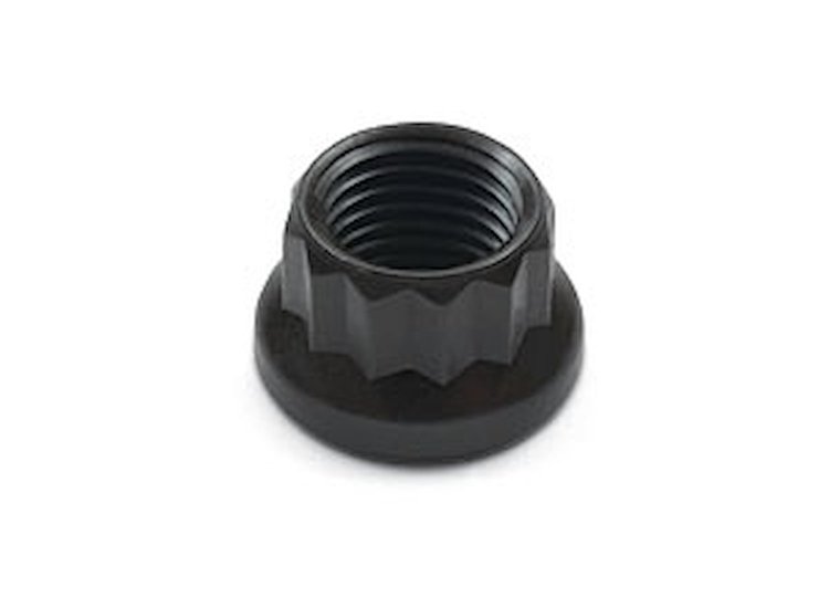 Stud Nut 12-Point 4037 Steel
