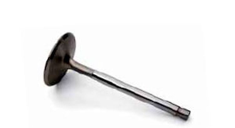 Intake Valves 2.180"