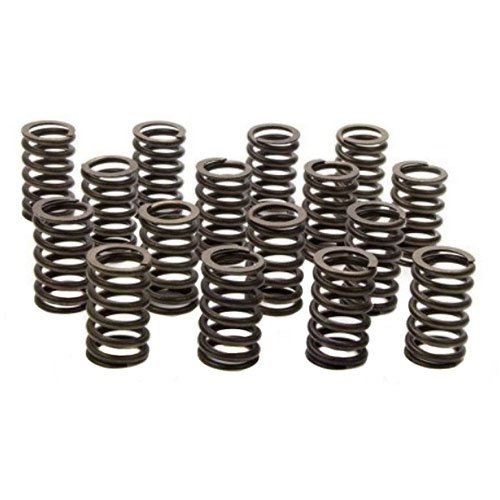 Valve Spring Kit - Single Small Block Chevy CT350/350 and 350HO
