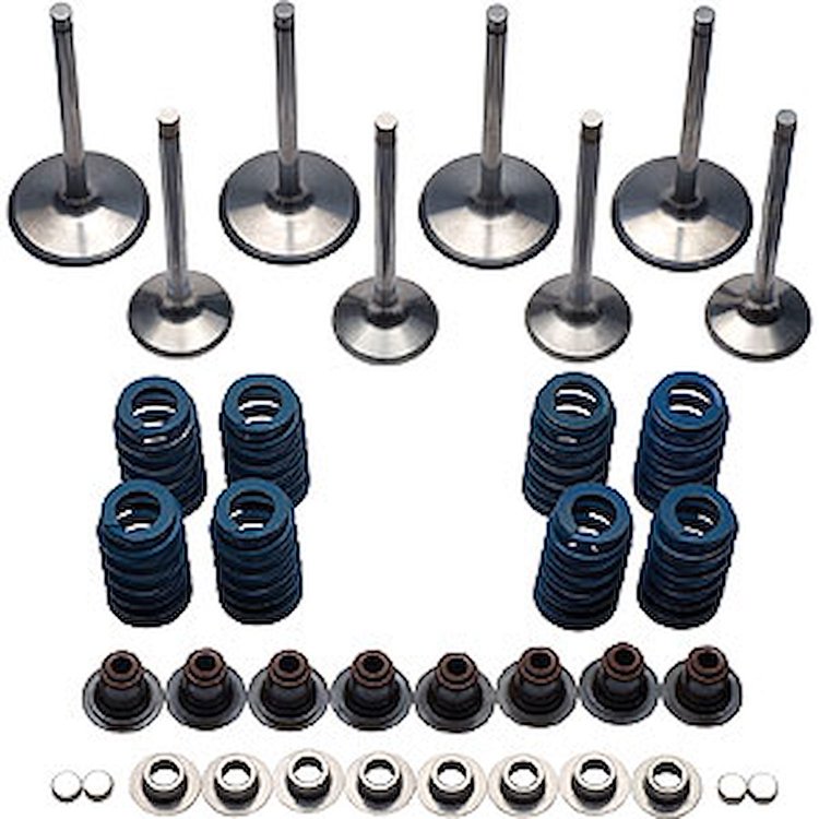 LS9 Valvetrain Kit (4) Intake Valves & Seals
