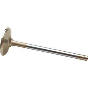 Exhaust Valve Big Block Chevy