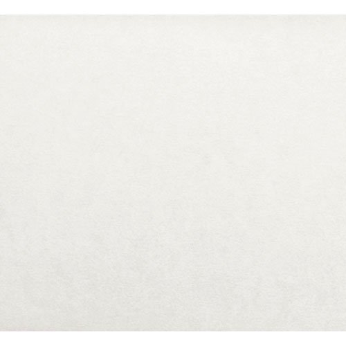Club Car Precedent White Rear Facing Seat Cover Set