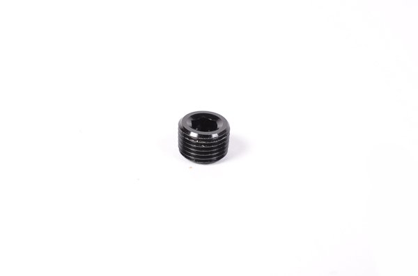 1/8 in. NPT Plug