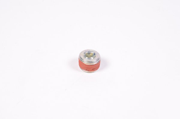 3/8 in. NPT Plug