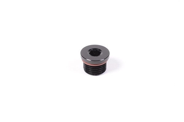 -10 AN ORB Plug