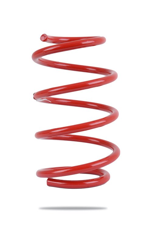 PED-220136 Coil Spring, Front, Ford Mustang S550, Low