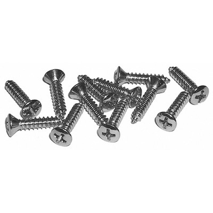 GMK4010575625S Carpet Sill Plate Screw Kit 1962-1979 X-Body [12 Pieces]