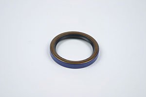 Timing Cover Seal BBC