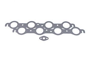 LS1 GASKET
