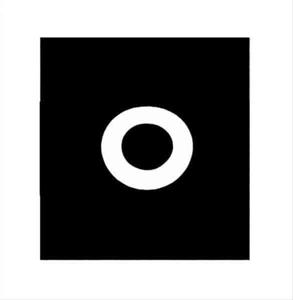 MAGNETO WASHER