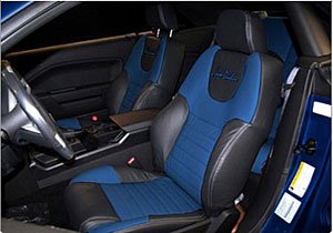 Leather Seat 2005-07 Ford Mustang Coupe